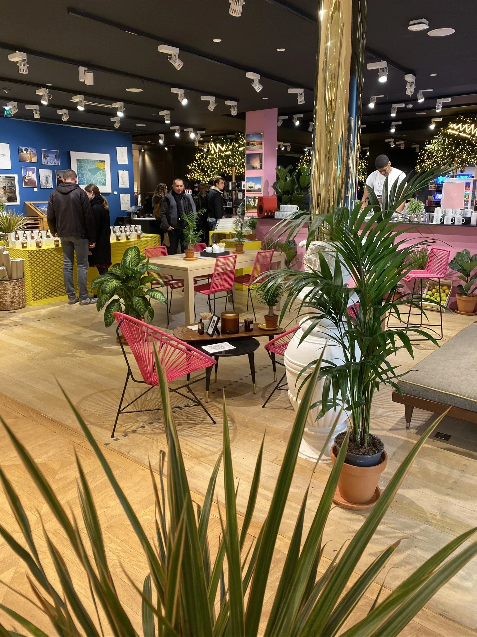 California Dreamin' on a Blustery Paris Day