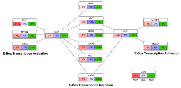 MYC in Cancer, everyone knows it’s there but how frequent is it really?