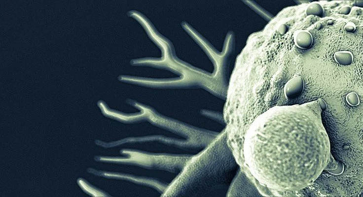 Synthetic lethal kinases in Ras/p53 mutant squamous cell carcinoma