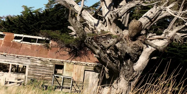 15 Years old and scaring the hell out of people already.