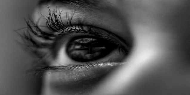 The American Government &amp; Remote Viewing
