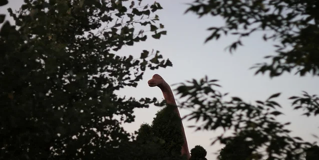 Scientists Prepare to Drill into the Impact that Killed the Dinosaurs