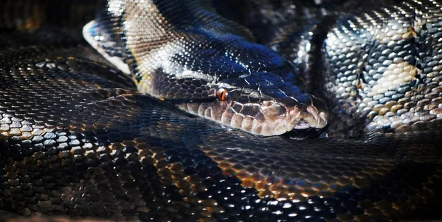 Have You Ever Experienced Reality?