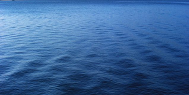 Why is the Deepest, Darkest Place on Earth so Noisy?