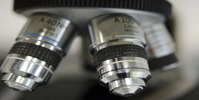 Human-Animal Hybrids are Growing Organ Transplants