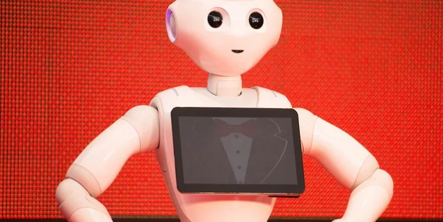 Why Sentient Machines Might be Disappointing