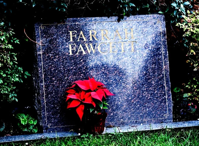 farrahfawcett1-682x500.jpg