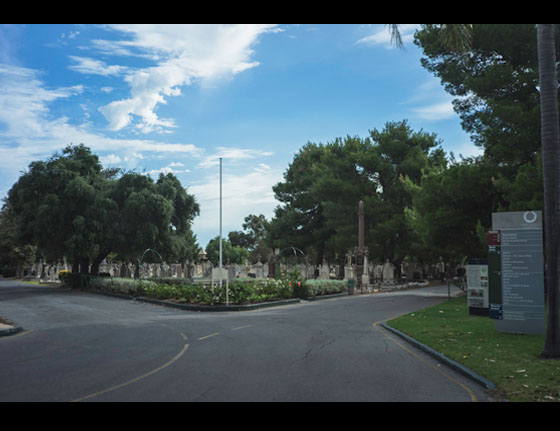 Cemetery2.jpg