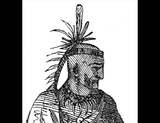corntsalketching.jpg