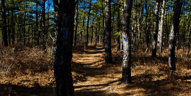 Is the Gateway to Another Dimension in New Jersey?