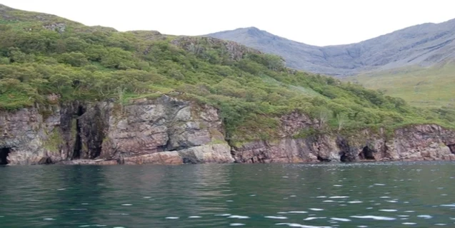 The Soay Island Sea Monster