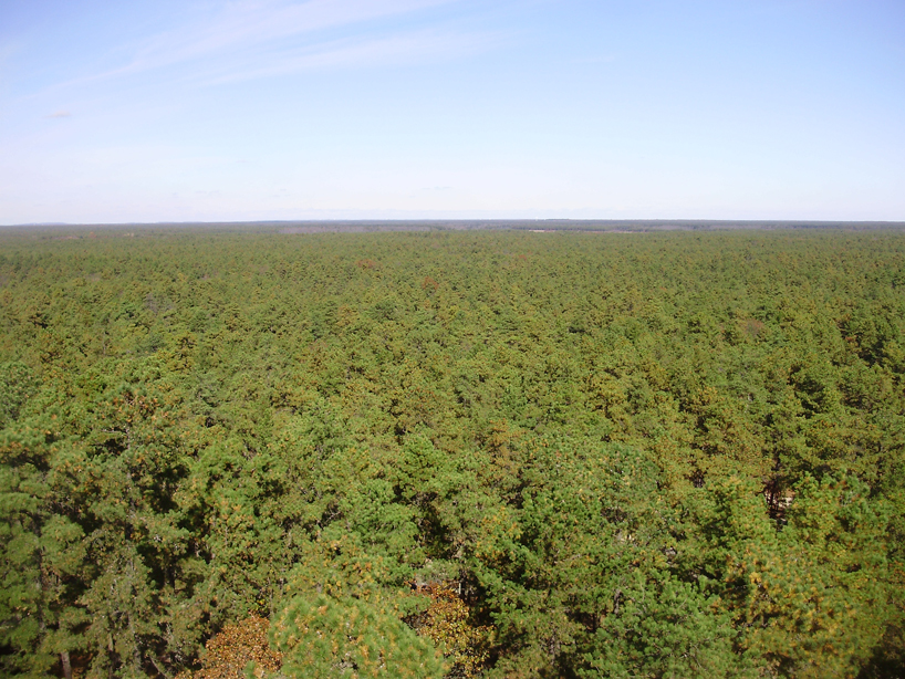 2009-11-04_20-View_north_from_the_top_of_the_Apple_Pie_Hill_fire_tower.jpg