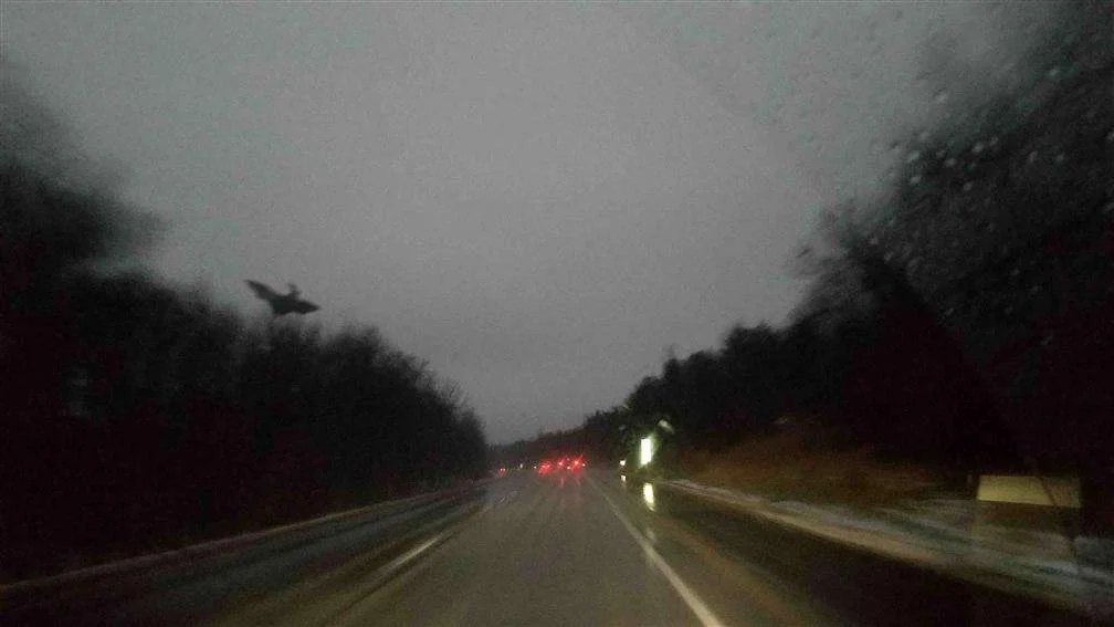 Ep 75: The Jersey Devil - Prince of the Pine Barrens Part 2