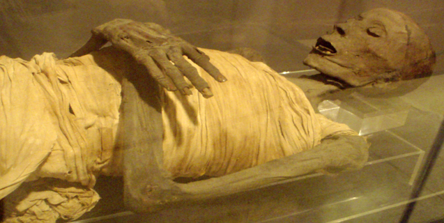 Why Mummies Fascinate Us