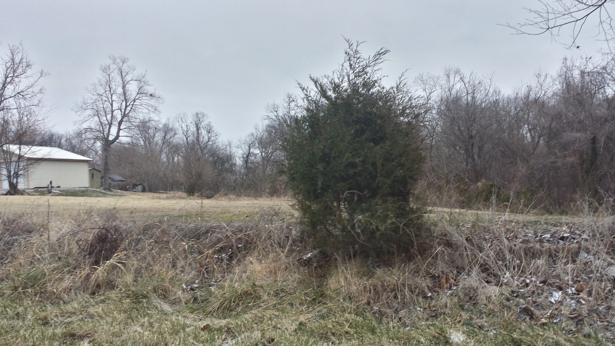 Ep 79 The KellyHopkinsville Encounter Part 1 — Astonishing Legends