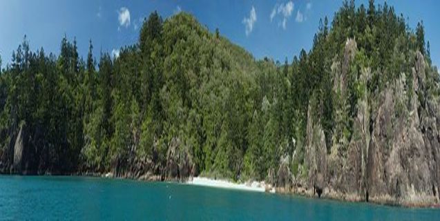 The Hook Island Sea Monster