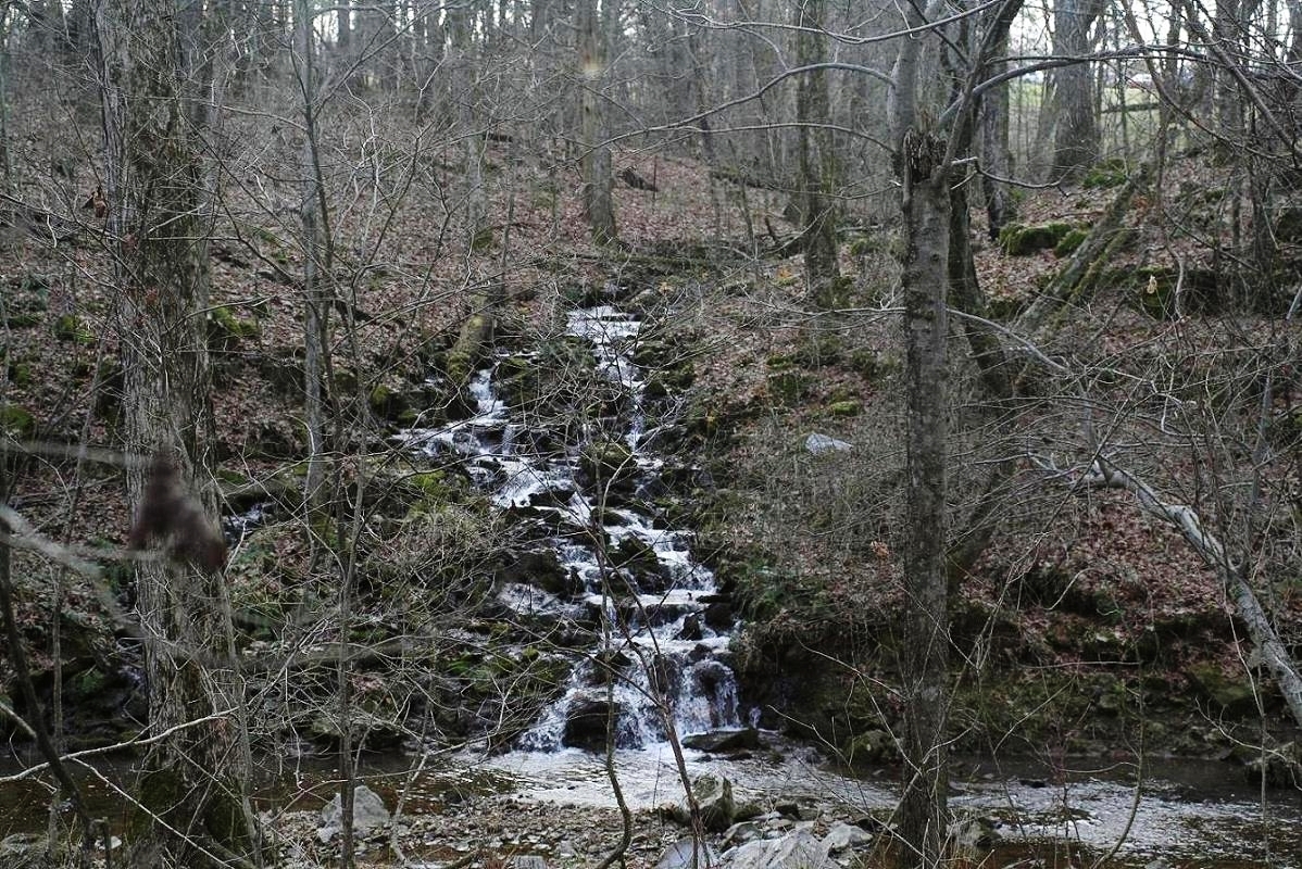 Johnston Springs