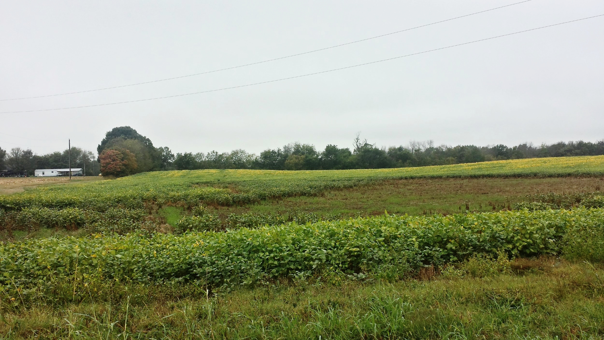 Site of John Bell, Jr.'s former homestead