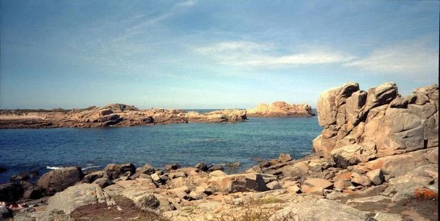 The Strange Tale of the Buried Porpoise 