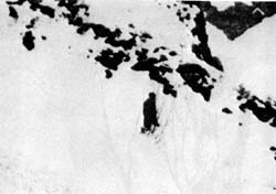  Detail: A subsequent expedition reportedly claimed that what Anthony Wooldridge actually saw was a rock formation that only resembled a humanoid shape. 