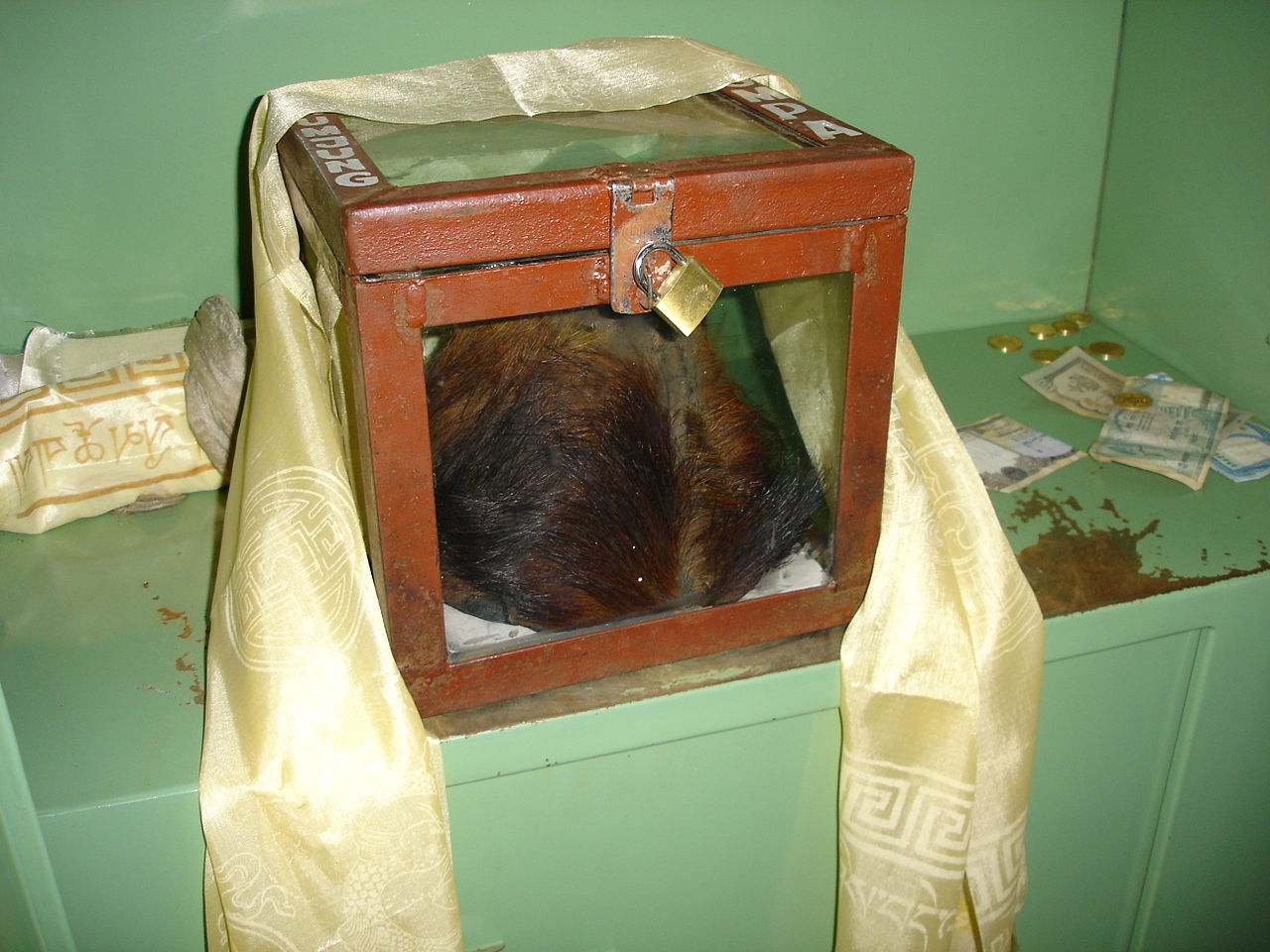 On display at the Khumjung monastery in Nepal is a relic some believed was the scalp of a Yeti. However, it seems DNA testing has shown the scalp is actually the rump hide from a goat.