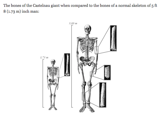  Illustration by Micah Ewers from his  rephaim23  website. 