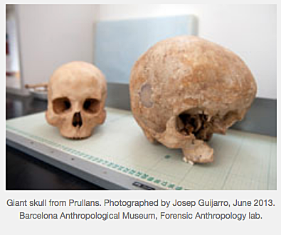 Giant skull from Prullans - Micah Ewers.png