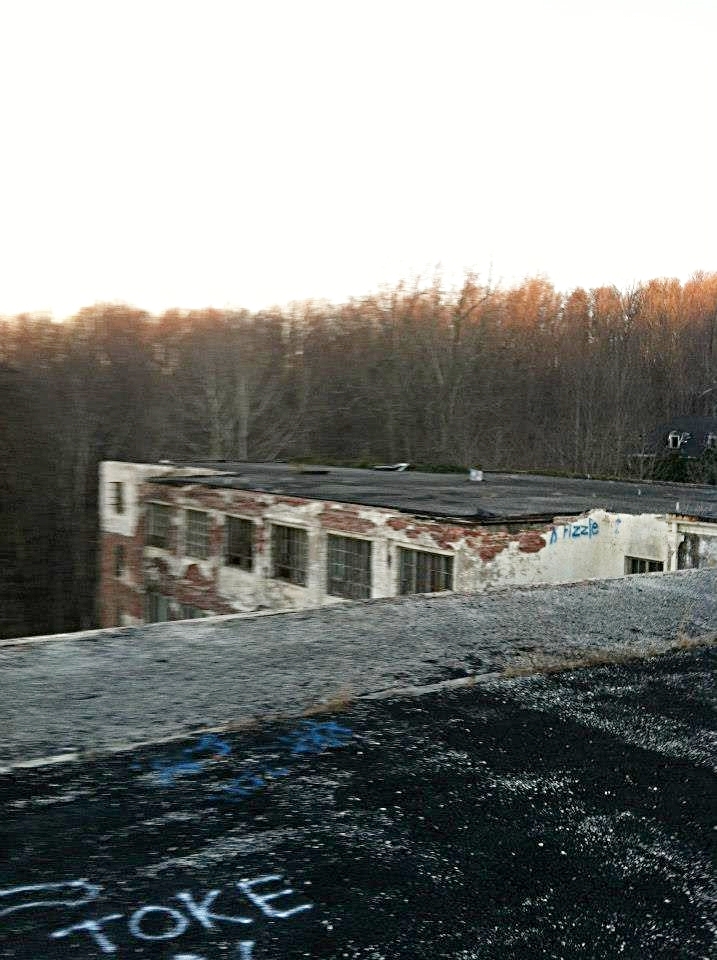 Tess' photos from her trip to the Henryton State Hospital