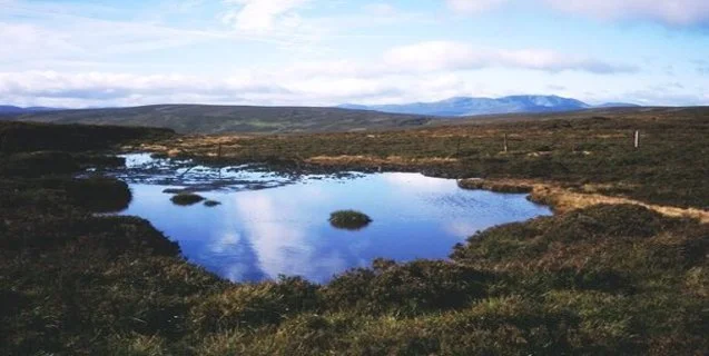The Cladh Hallan Bog Bodies