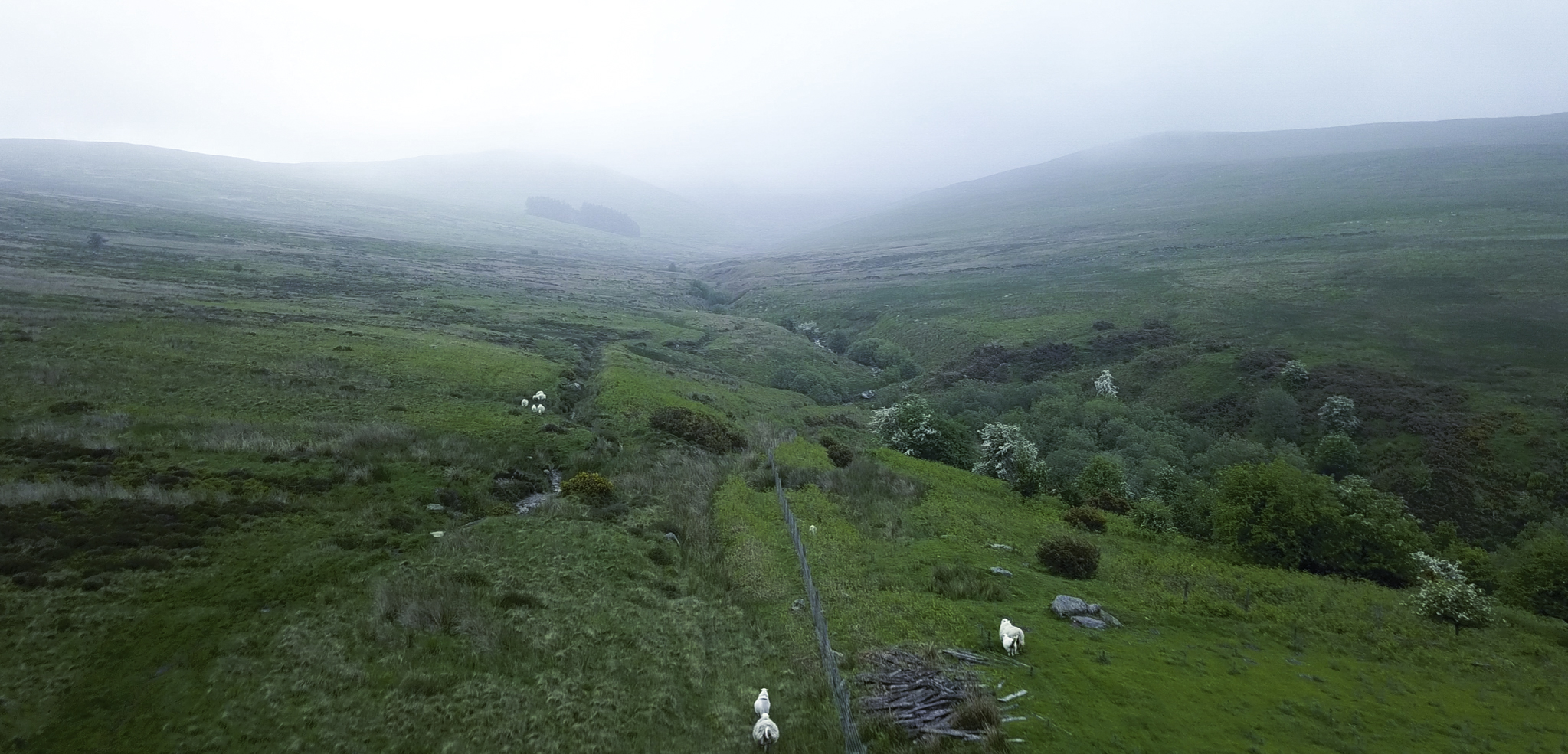 The Berwyn Mountain range in northeast Wales. The copse of trees in the fog near the horizon is where Huw Lloyd saw the strange lights.