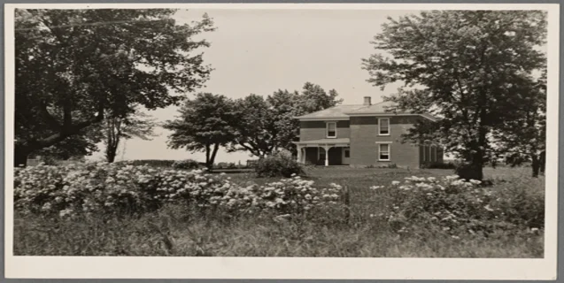 Ohio Grassman