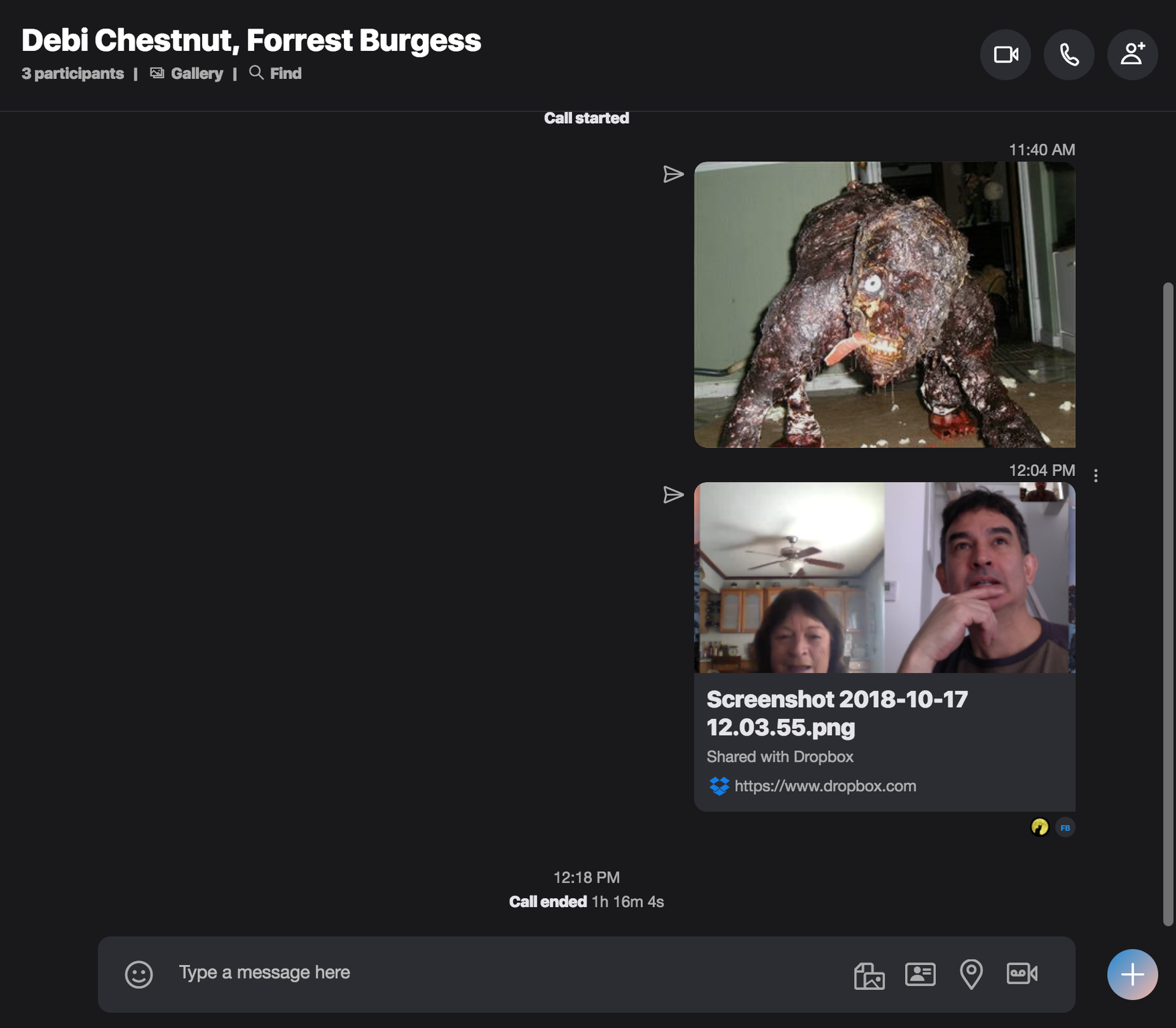 Screenshot of Scott’s Skype Chat Window, showing the bedside creature. The image then disappeared after a few moments.