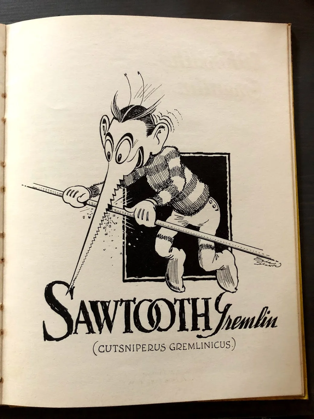 Sawtooth