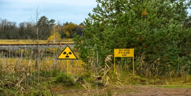 The Chernobyl Wolves
