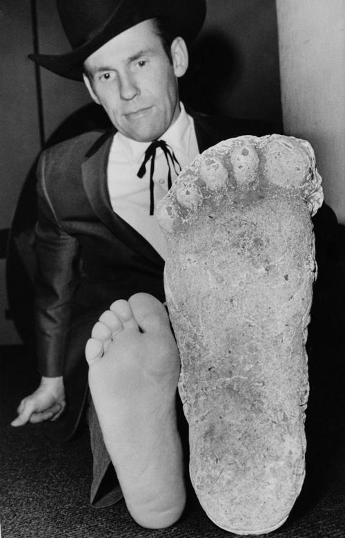  Roger Patterson comparing his foot size with that of the plaster castings he took of Patty. 