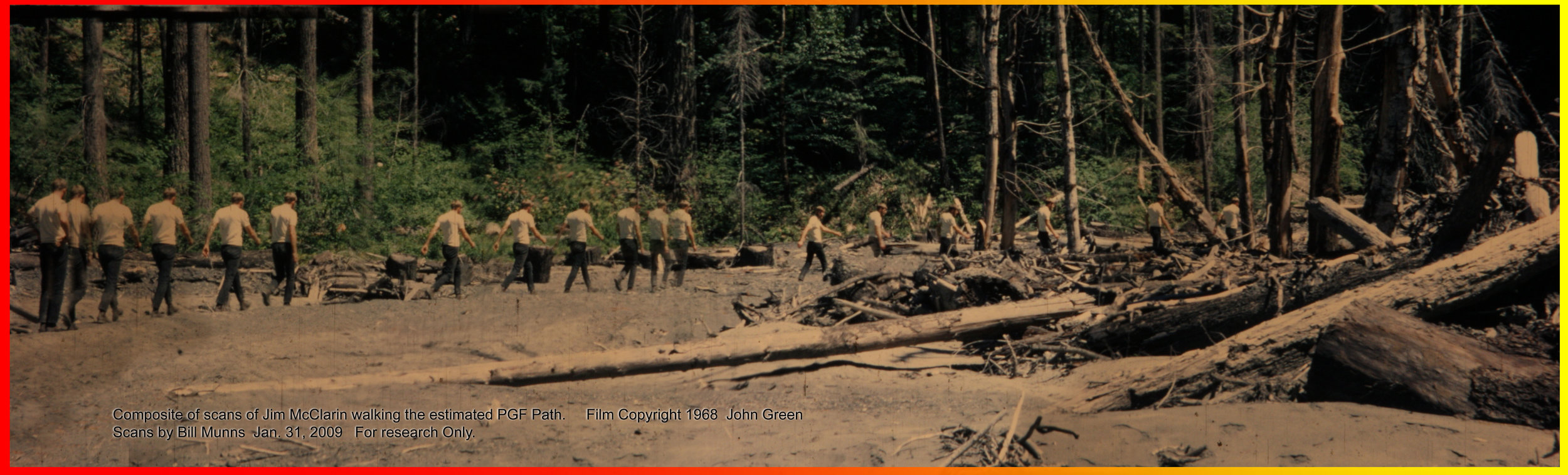 Composite scans of Jim McClarin walking Patty’s estimated path. Film copyright 1968 from John Green’s original footage, scans by Bill Munns, January 31, 2009. For research only.