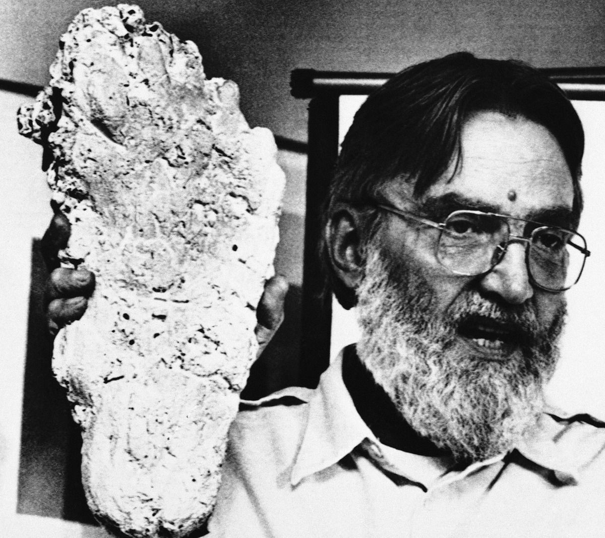   Dr. Grover Krantz , a physical anthropologist specializing in Evolutionary Anthropology and Primatology holding up a Bigfoot cast. At first a skeptic of the Patterson-Gimlin film, after careful examination of it became one of the film’s leading pro