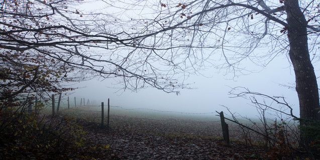 Witte Wieven