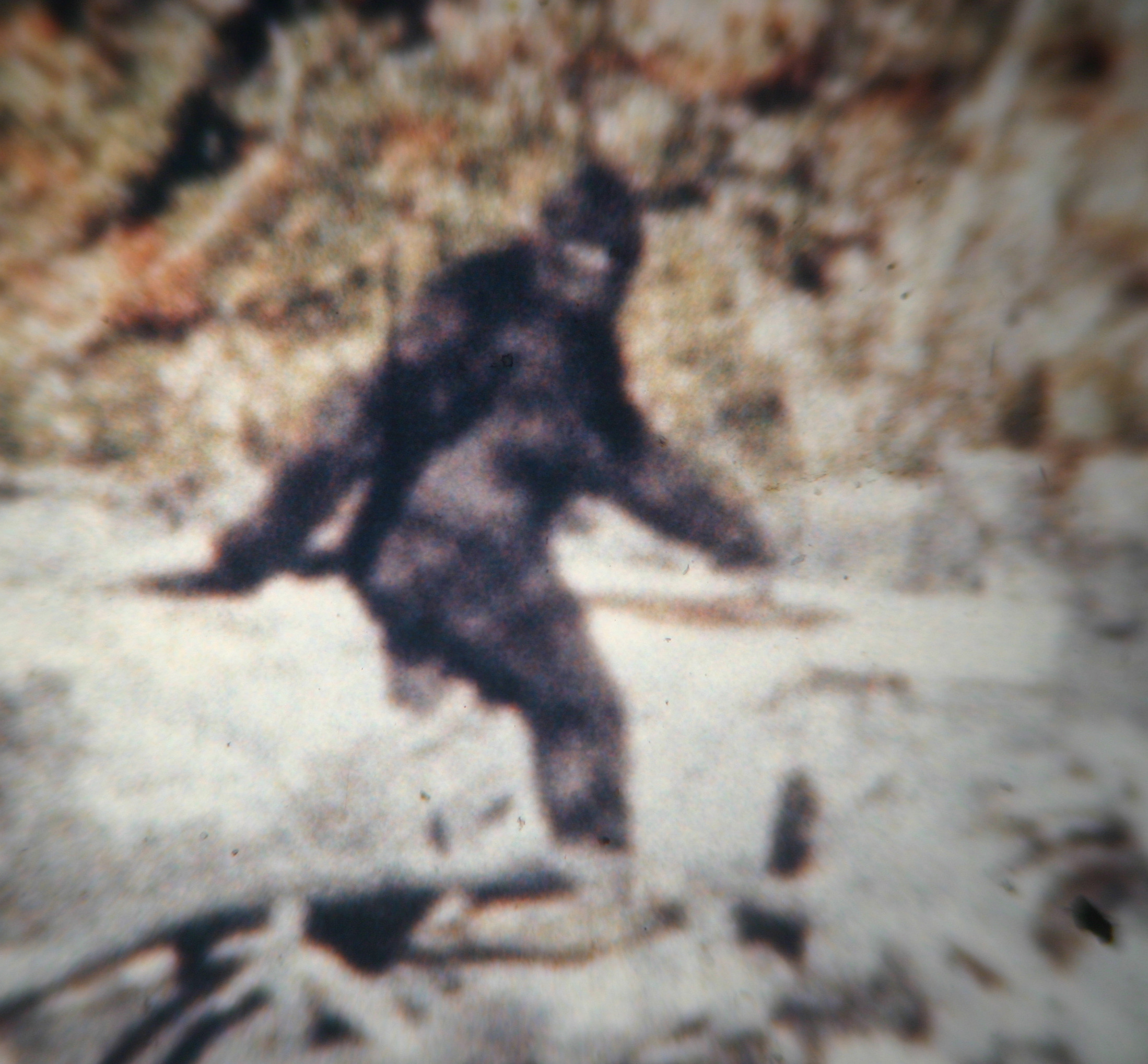  Close up of “Patty” from  Bill Munns ’ High Resolution film scan. 