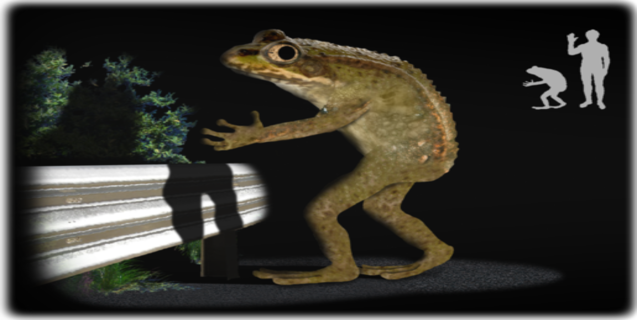 The Loveland Frogs