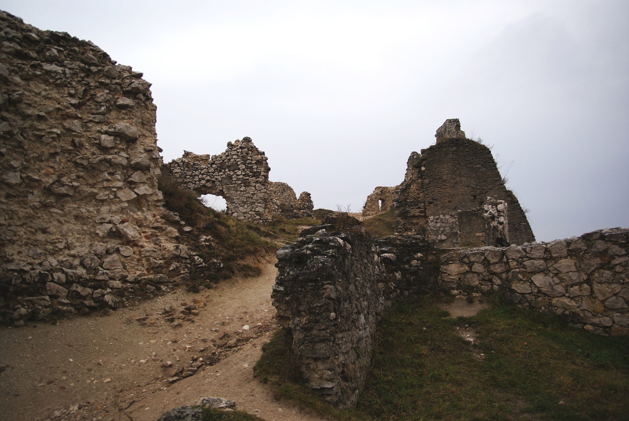 Photo by Bjalek Michal ( talk ) - CC BY-SA 3.0