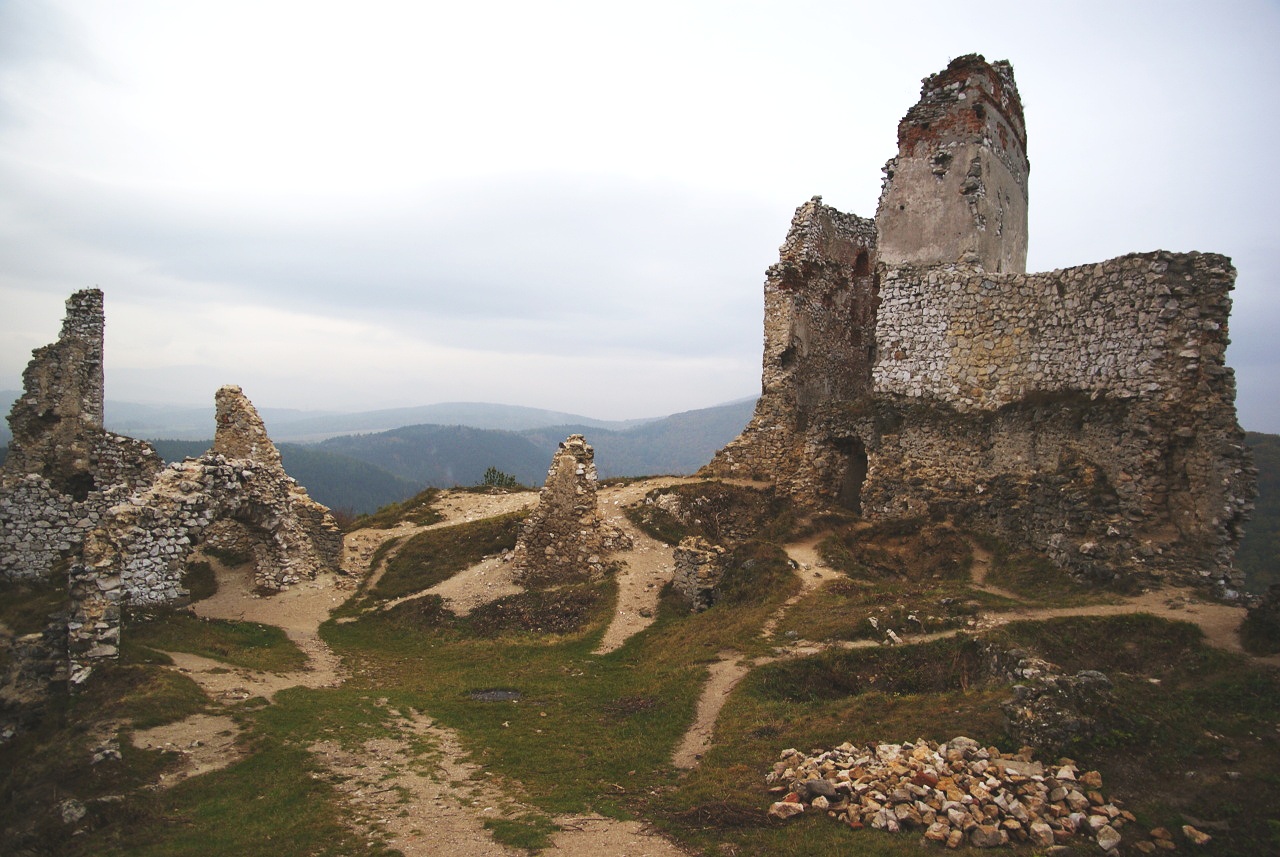 Photo by Bjalek Michal ( talk ) - CC BY-SA 3.0
