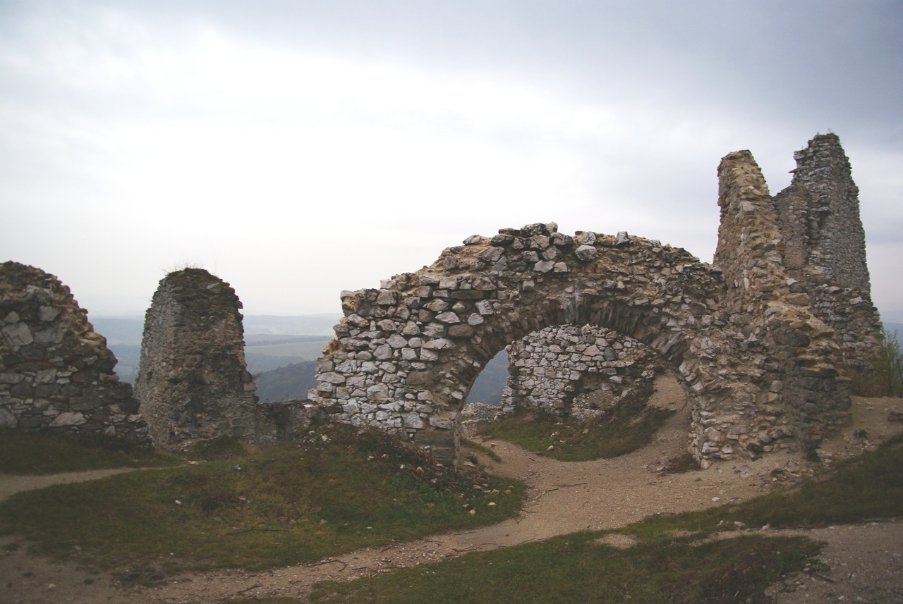 Photo by Bjalek Michal ( talk ) – CC BY-SA 3.0
