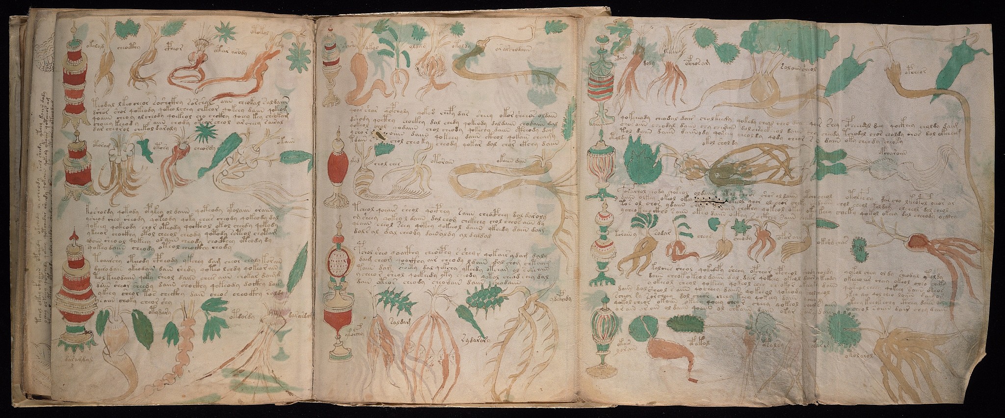 A four-page fold-out from the Voynich Manuscript, scanned by Yale University’s Beinecke Rare Book and Manuscript Library