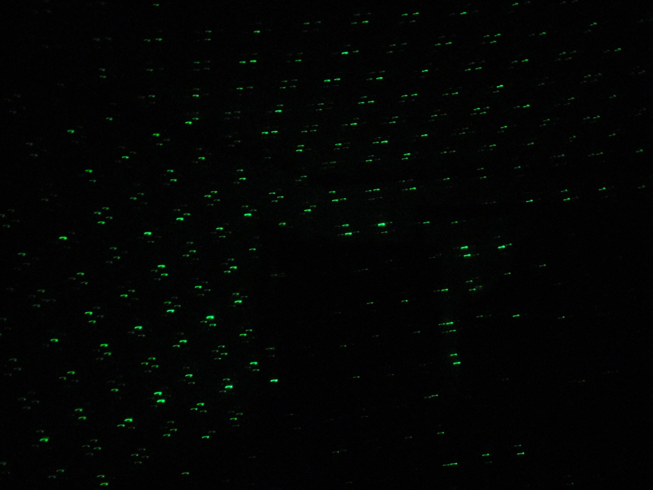  Anomaly in the laser light grid that appears to form the top half of a human shape, by blocking or absorbing the points of laser light.  Pointed at a staircase at the McKinnis-Litzenberg House. 