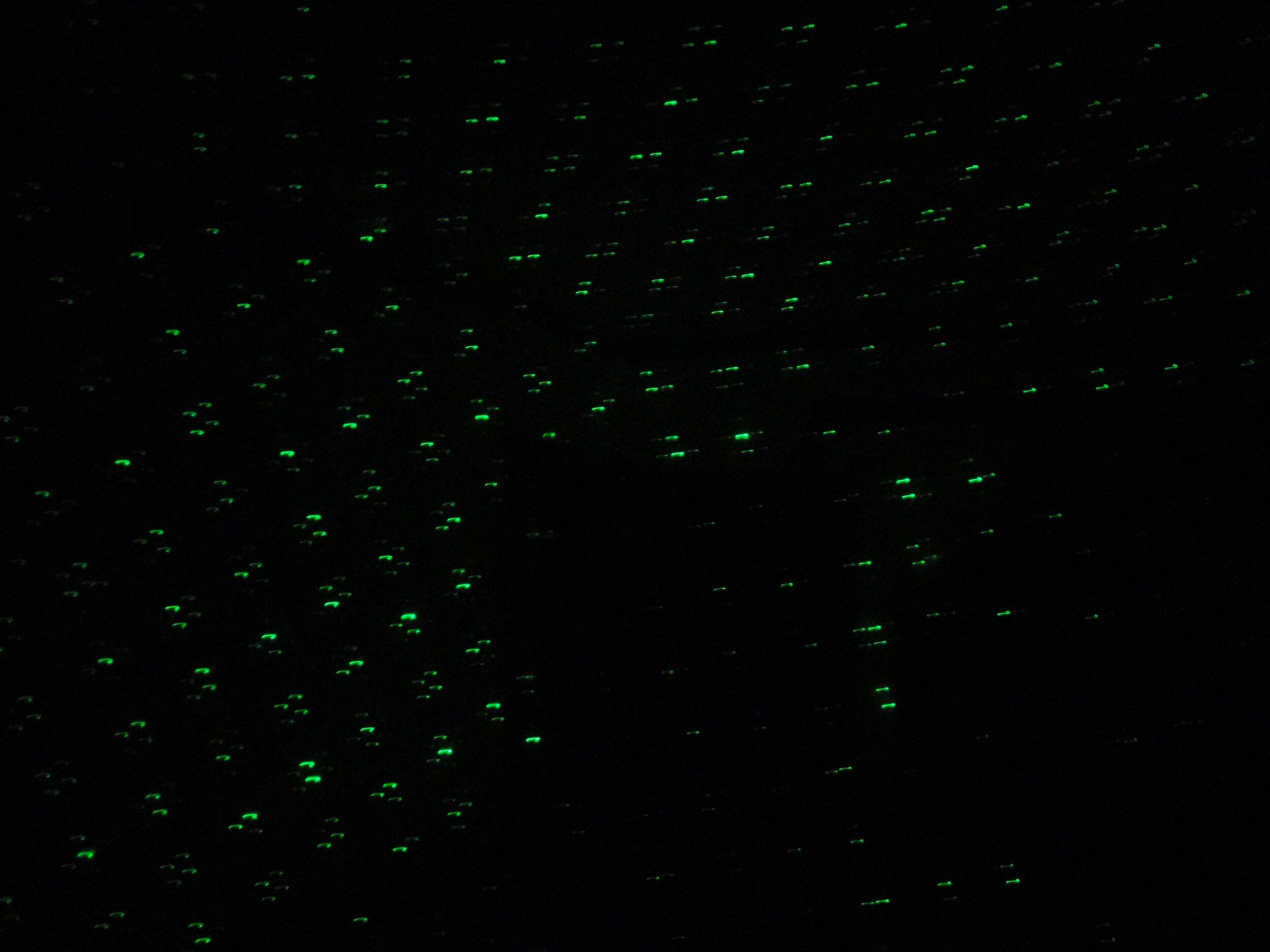 Anomaly in the laser light grid that appears to form the top half of a human shape, by blocking or absorbing the points of laser light. Pointed at a staircase at the McKinnis-Litzenberg House.