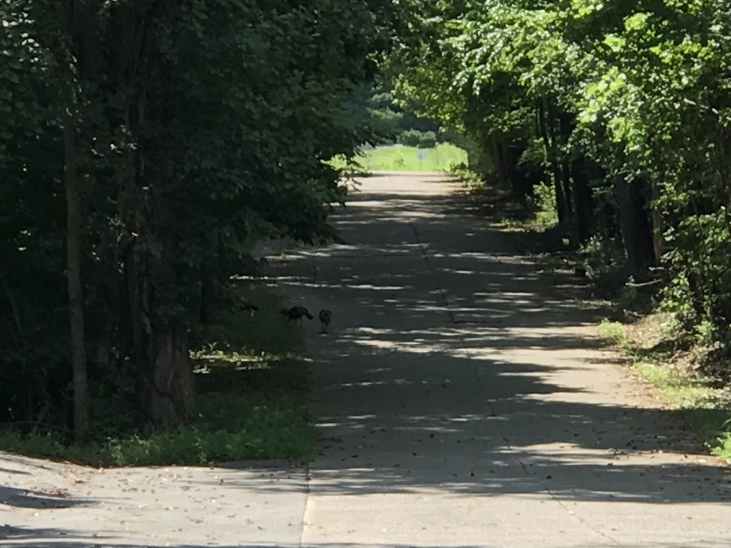The road that led us to, and away from, a fascinating paranormal investigation. Now onto other ghost adventures!