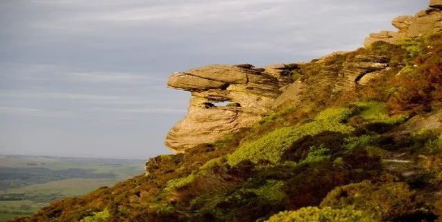 The Simonside Dwarfs
