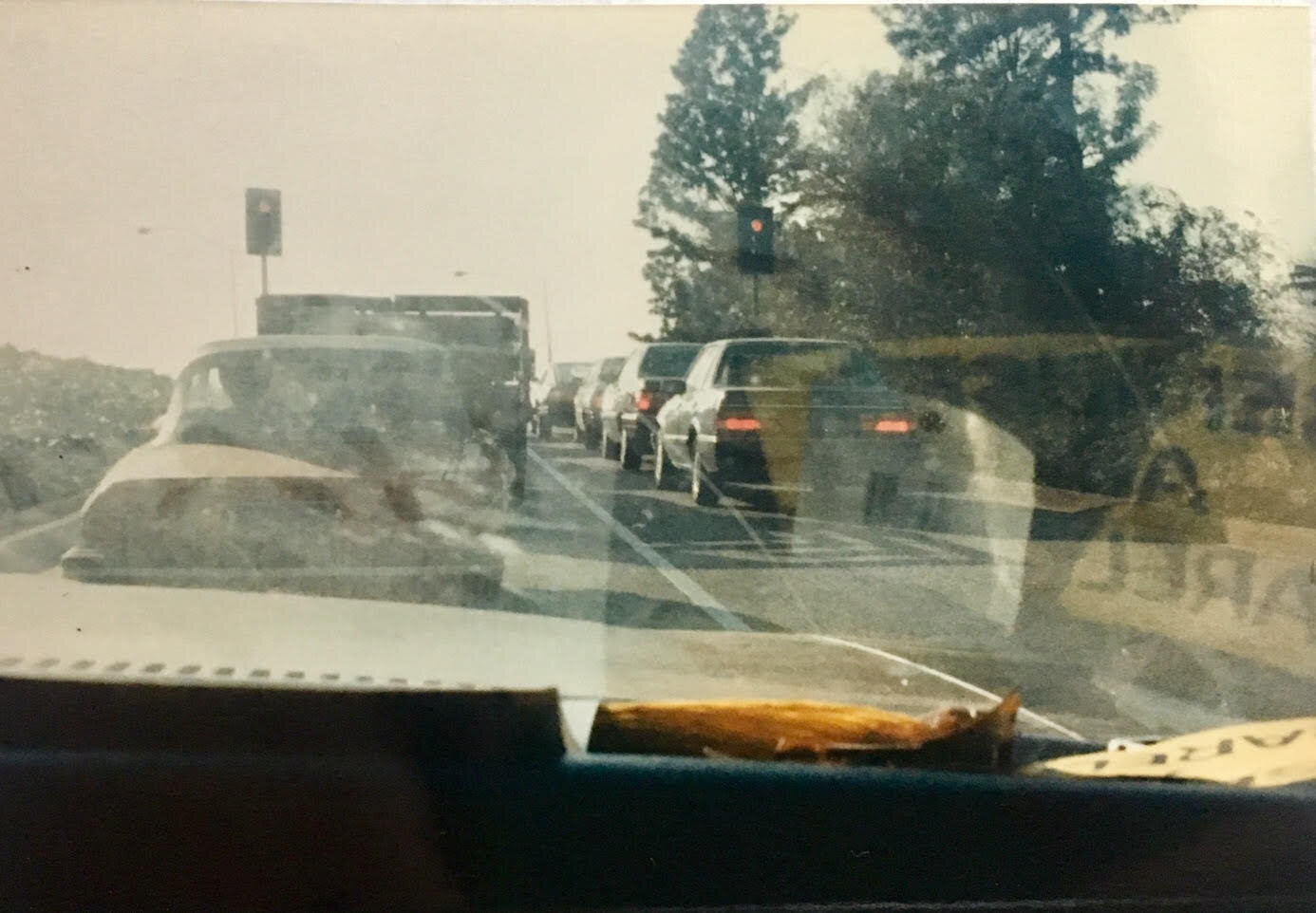  Photo from dated 6-24-86 thought to be from the San Diego roadtrip where Dan and Susan experienced their 2nd missing time episode. 