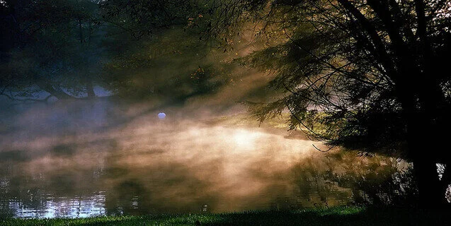 Ecto-Mist